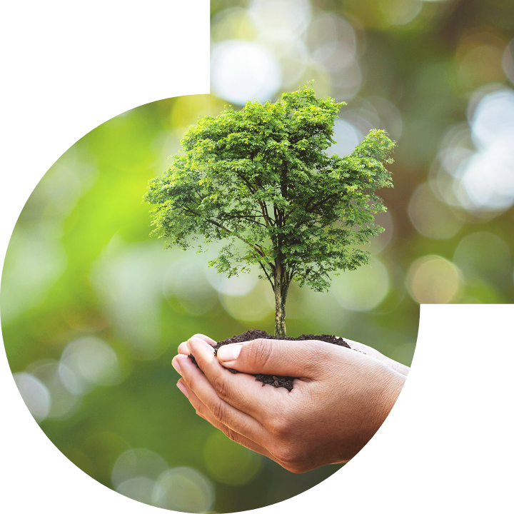 关怀人类、文化、环境与社会